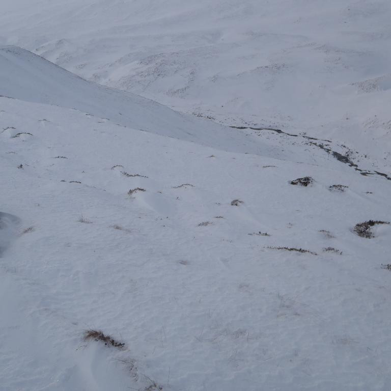 Séð niður í Glerárgil.