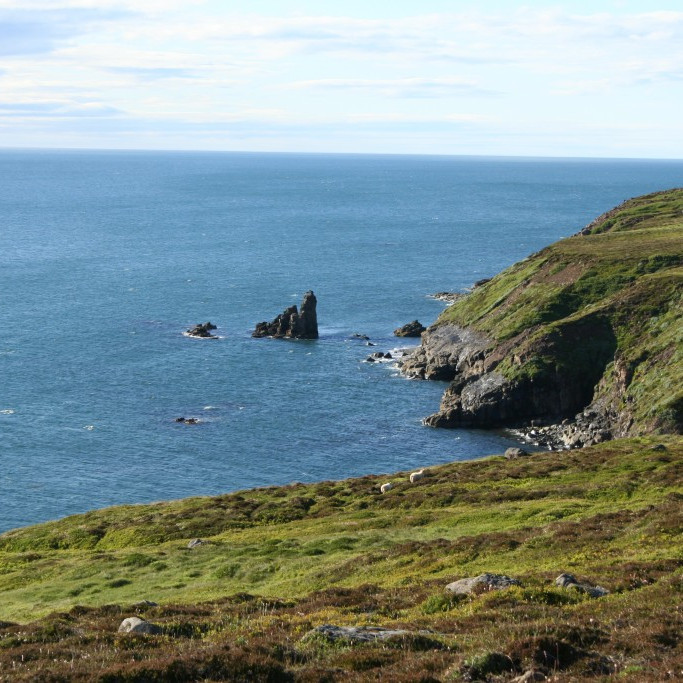 forsida-27-44c745b4dbe73-1