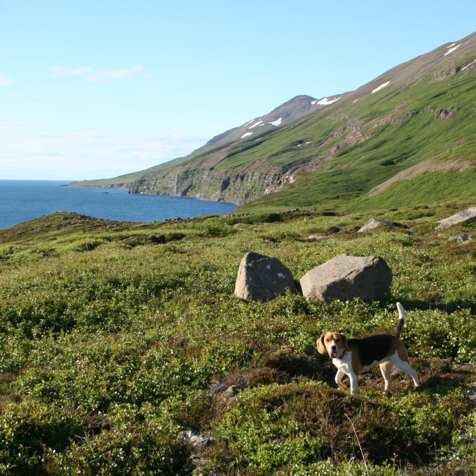 forsida-27-44c746641d2c5-1