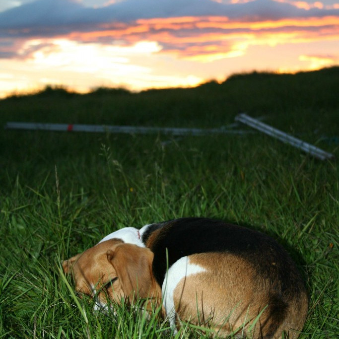 forsida-27-44c748220e704-1