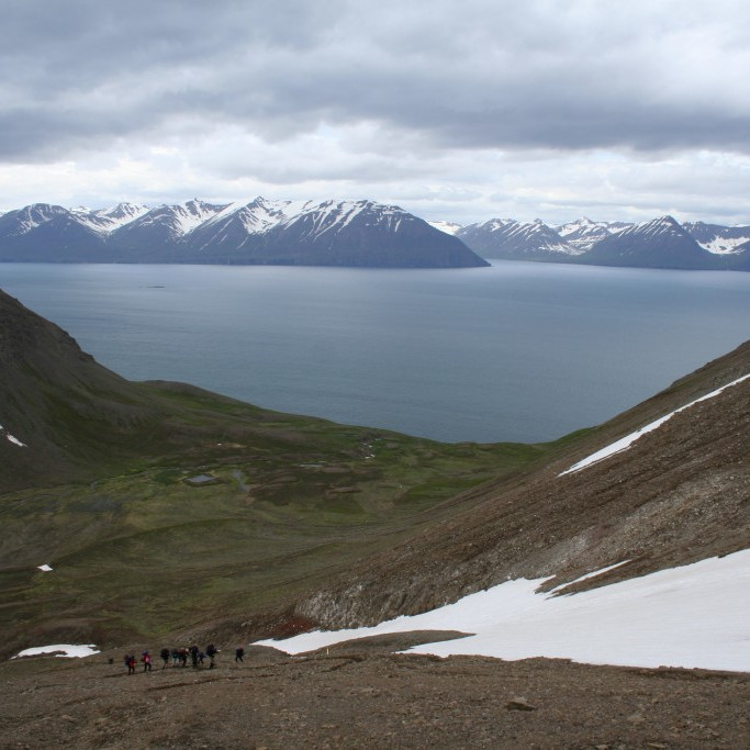 forsida-27-44c748fb4be84-1