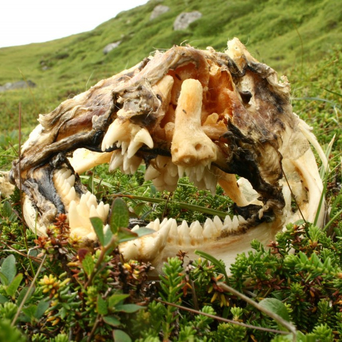 forsida-27-44c74b0293c98-1