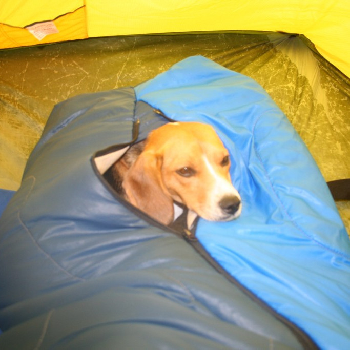 forsida-27-44c74c1901b05-1