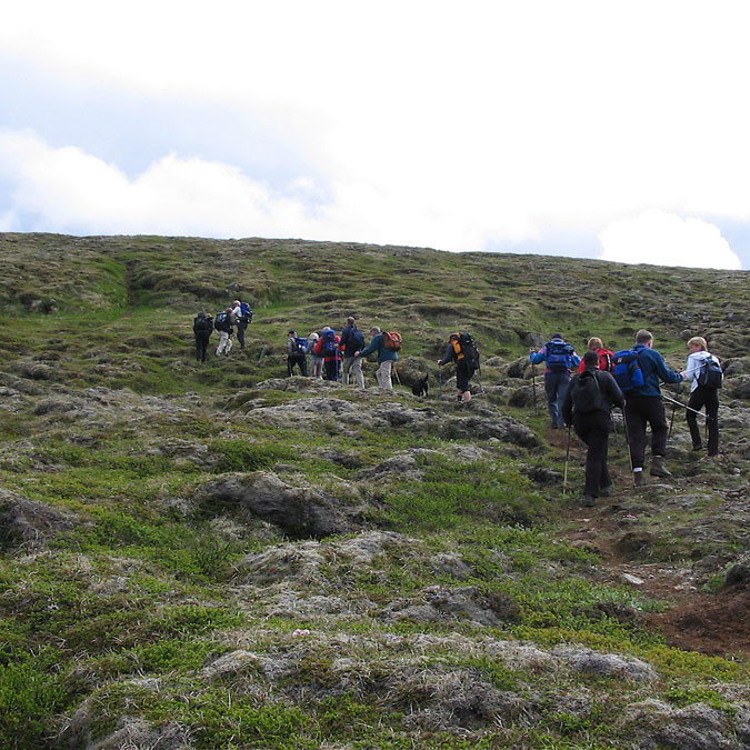 forsida-28-44d780c371ac7-1