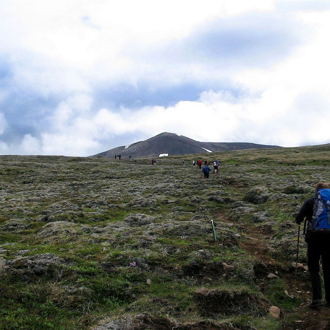 forsida-28-44d8dd740a654-1