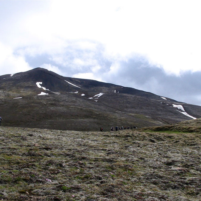 forsida-28-44d8df251b6f2-1