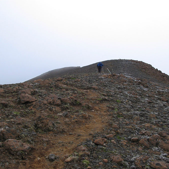 forsida-28-44d8e551650d2-1