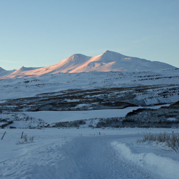 Kjarnaskógur og Súlur.