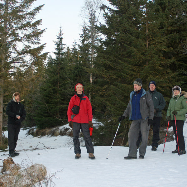 Í skóginum var gott hjarnfæri.