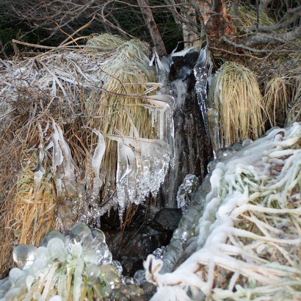 Skemmtilegar ísmyndanir við læk neðst í Vaðlareit.