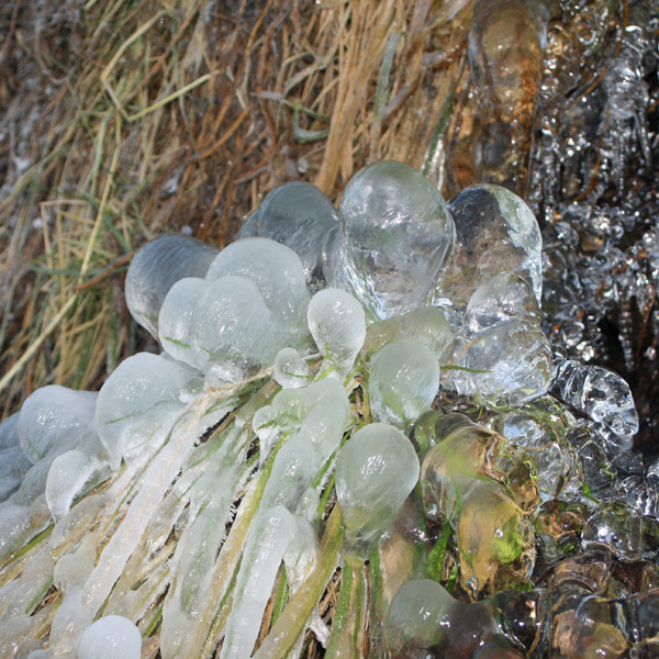 Ísbólstrar við læk neðst í Vaðlareit.