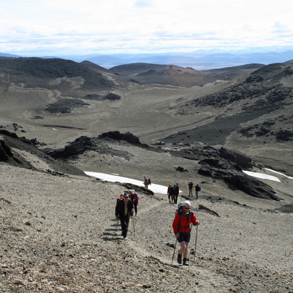 Á vikri frá 1875 austan á Dyngjufjöllum.