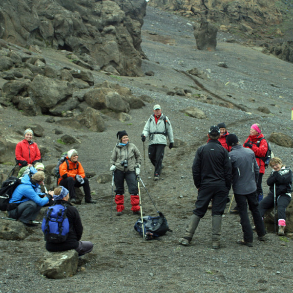 Við móbergshnullunga undir efra þrepinu norðvestan á Dyngjufjöllum.