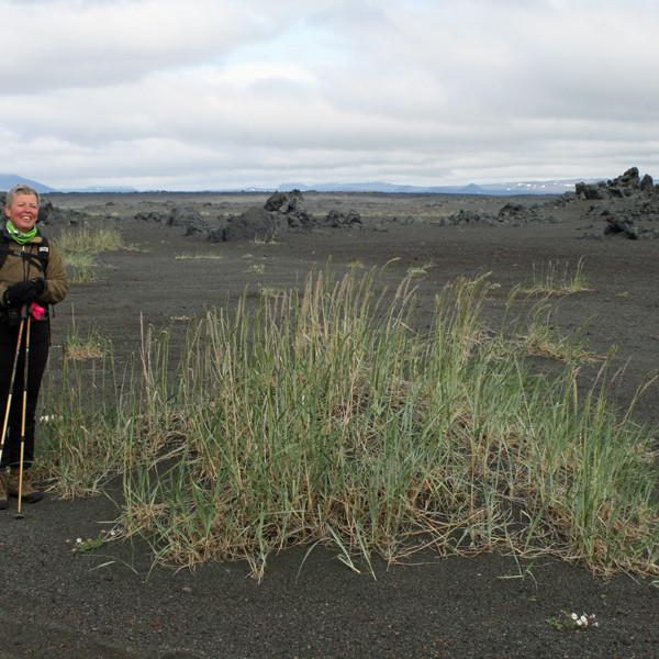 Norðan Dyngjufjalladals: 