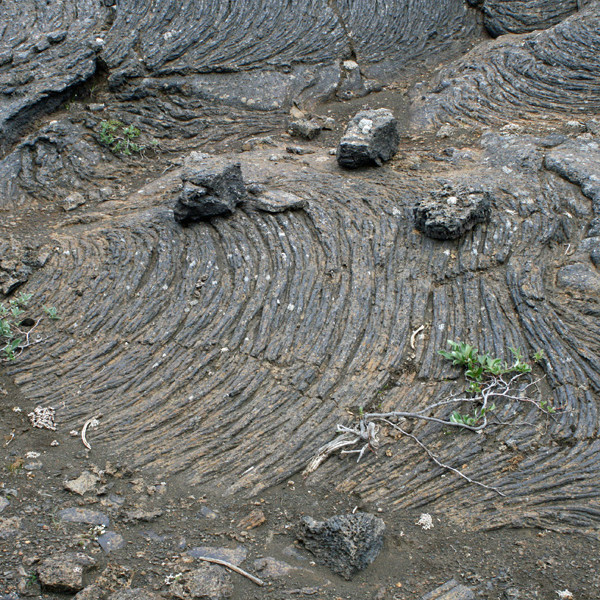 Hraunreipi á helluhrauni í Útbruna.