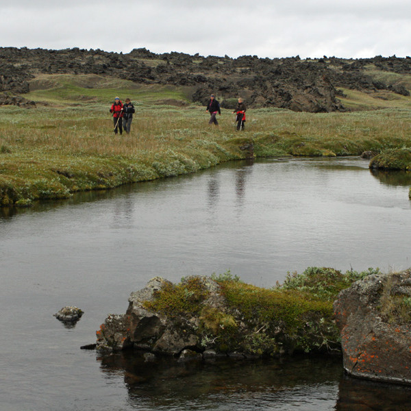 Við upptök Efstalækjar í Suðurárbotnum.