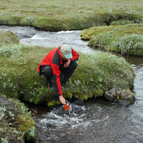 Lindin tær: þorstanum svalað í Suðurárbotnum.