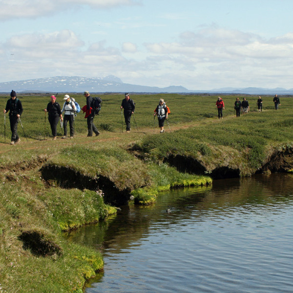 Hópur FFA á bakka Suðurár rétt ofan Stóruflesju.