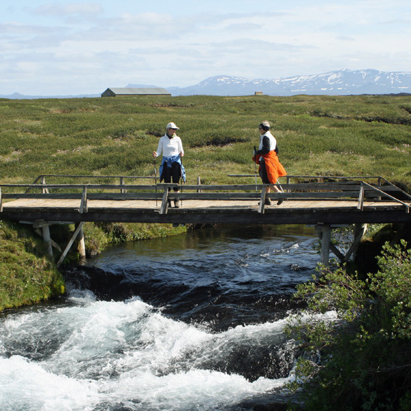 Við Stóruflesju: brú á einni af kvíslum Suðurár.