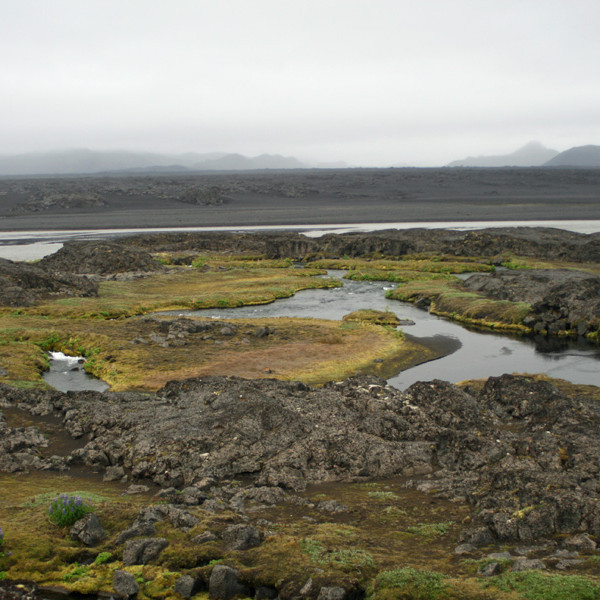 Fallegir hólmar í Svartá sunnan Vaðöldu. Horft austur yfir Jökulsá á Fjöllum til Krepputungu.