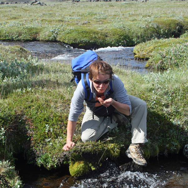Þorstanum svalað í Suðurárbotnum.