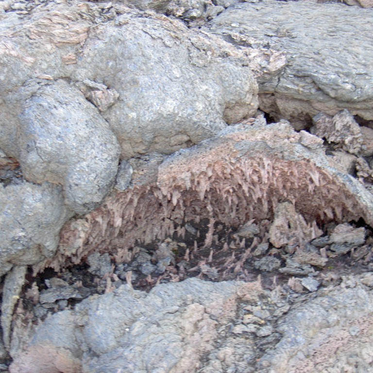 forsida-29-44d9e15281d1b-1