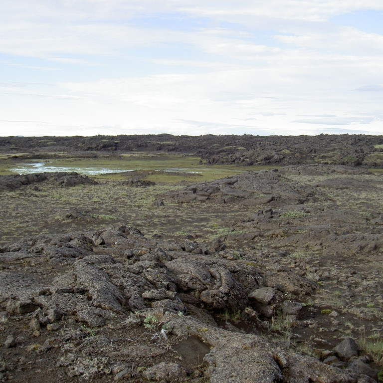 forsida-29-44d9e55faf7d6-1