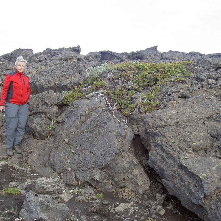 forsida-29-44d9e5a78ec71-1