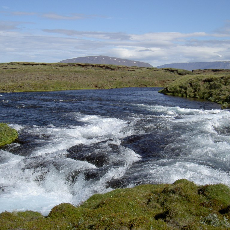 forsida-29-44d9e65aa9e90-1