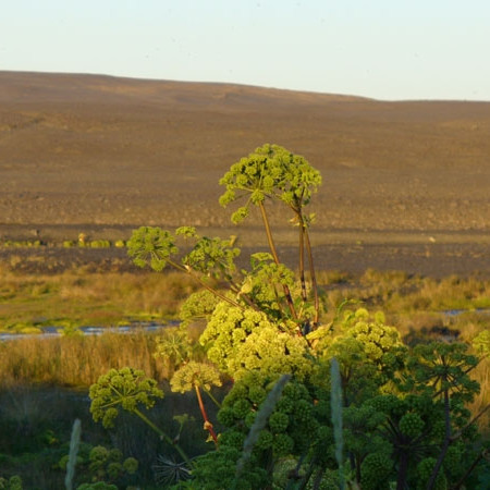 forsida-40-44ff3018197e9-1