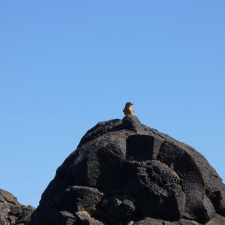 forsida-40-44ff305f06402-1