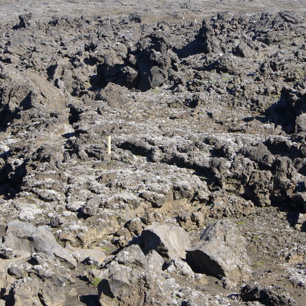 forsida-40-44ff308cdb39d-1