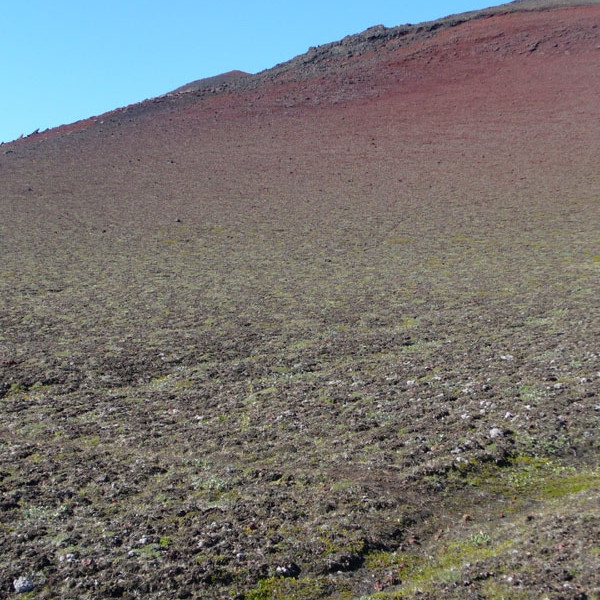 forsida-40-44ff309fbf9a4-1