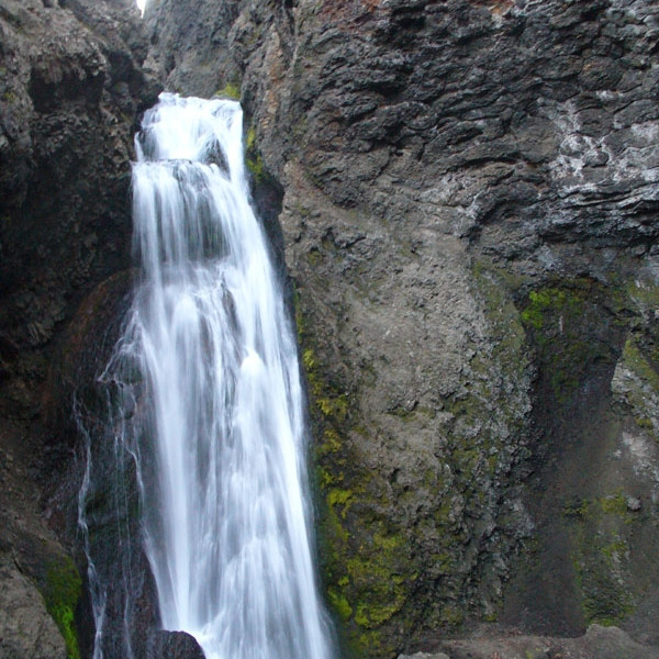 forsida-40-44ff30cd423a6-1