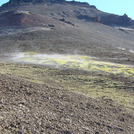 forsida-40-44ff30fbb1d91-1