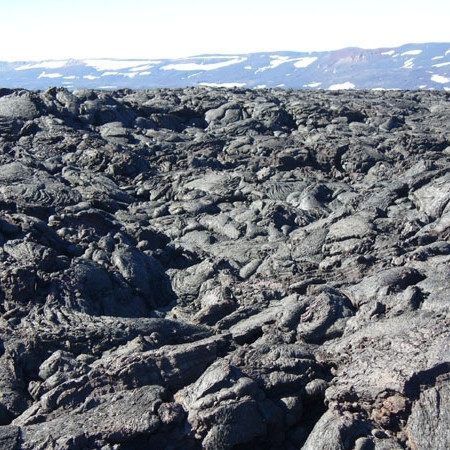 forsida-40-44ff312e0cb6f-1