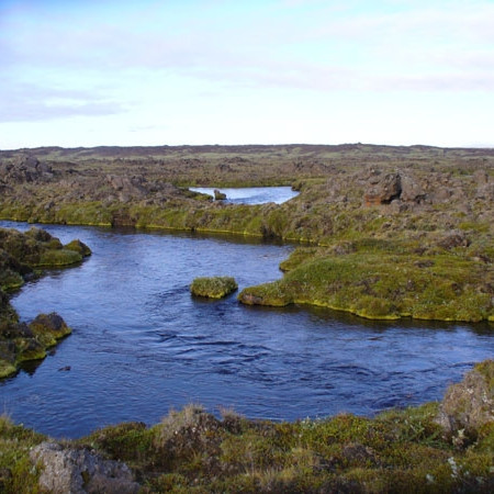 forsida-40-44ff31af65330-1