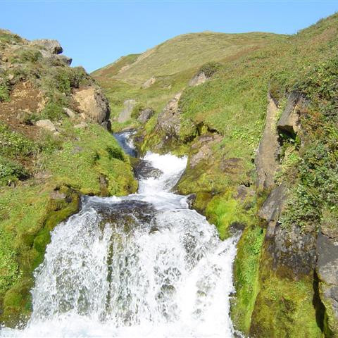 Foss í Reistará