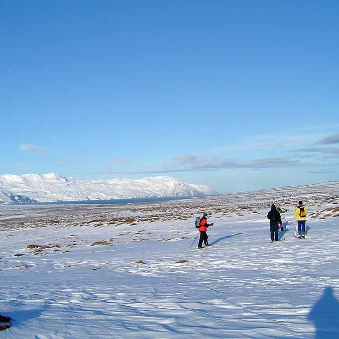 forsida-47-4617a3cde5315-1