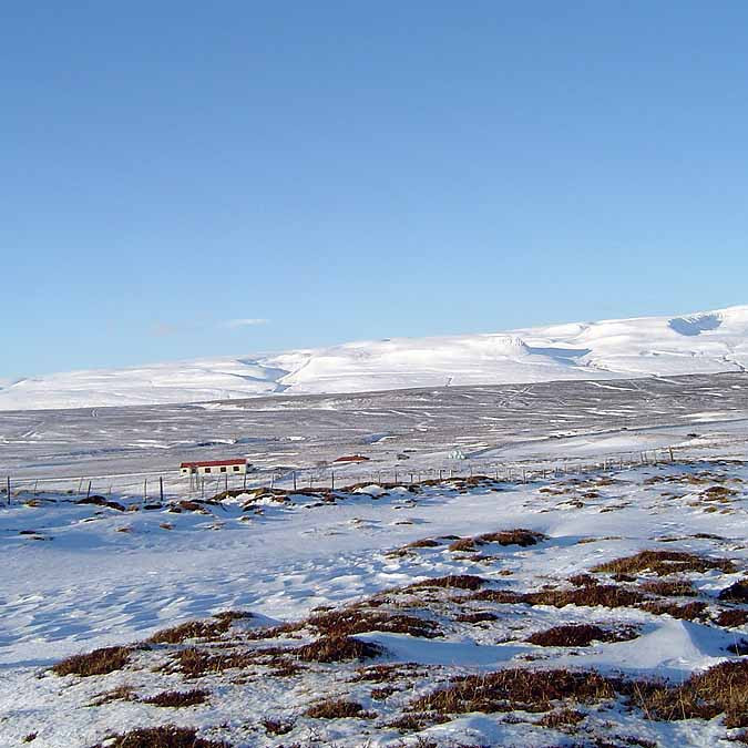 forsida-47-4617a454bd15c-1