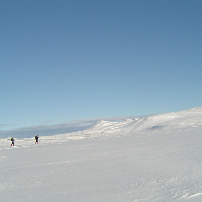 forsida-47-4617a871621c2-1