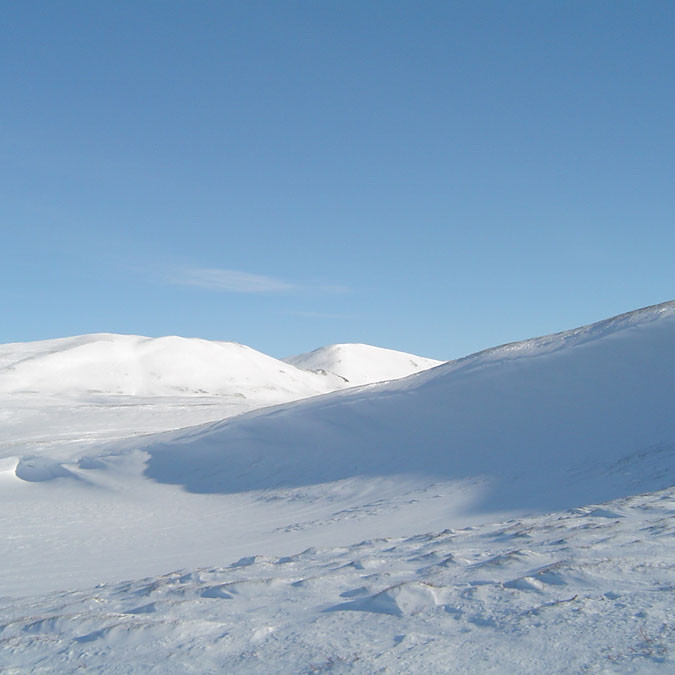 forsida-47-4617a8d9714f9-1