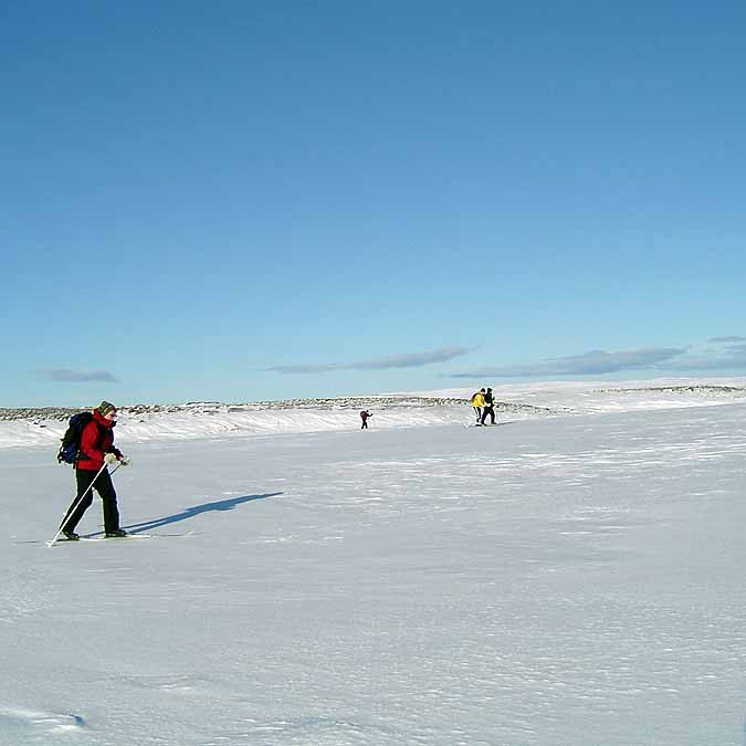 forsida-47-4617a9887f446-1