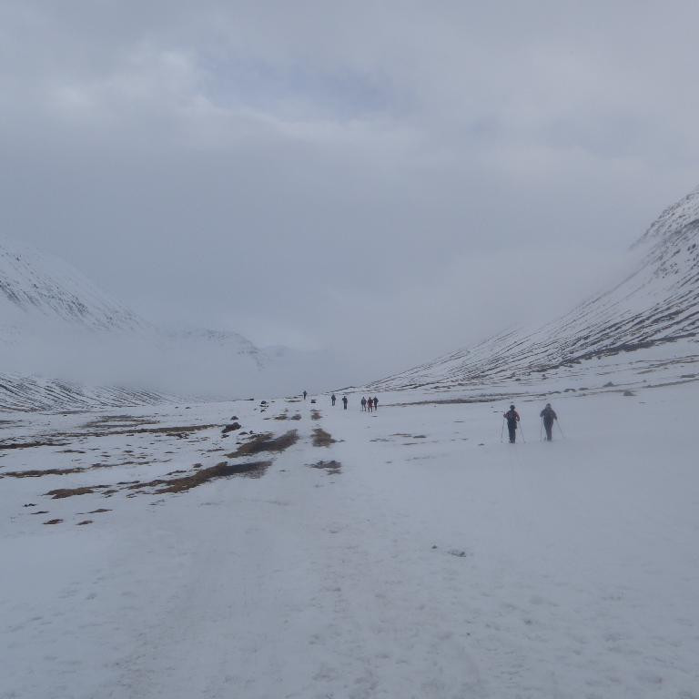 Séð inn Skíðadal