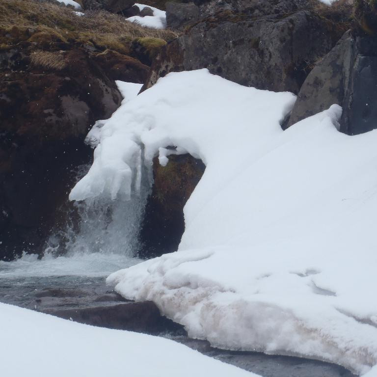 Foss í klakaböndum