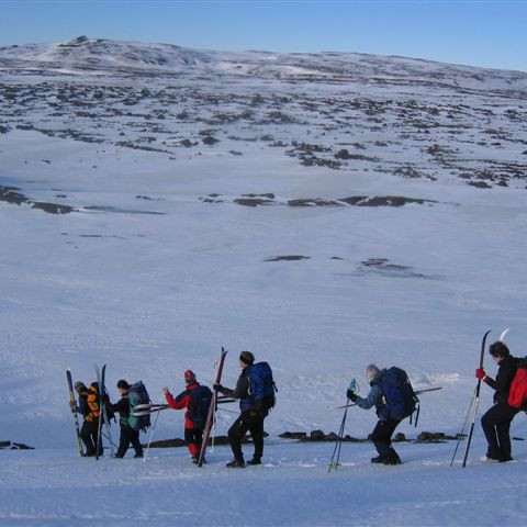 forsida-15-442170f922fd8-1