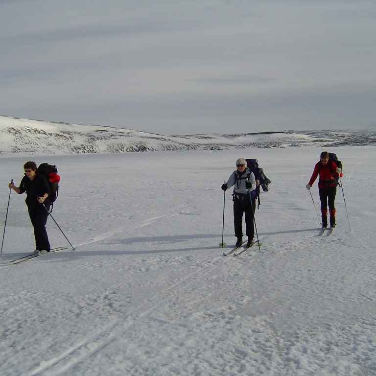 forsida-15-442174b34cb76-1