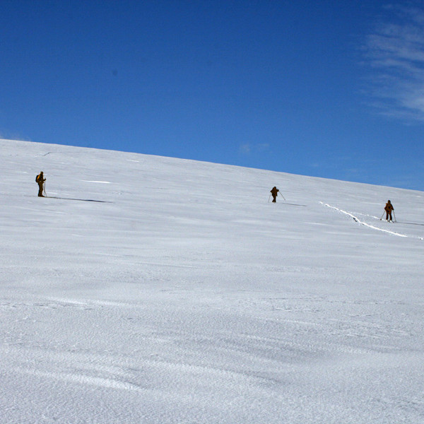 Á heimleið: Skíðað austur af Háafelli.