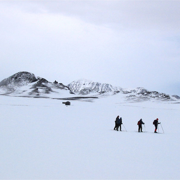 forsida-21-4495949e9f0f5-1