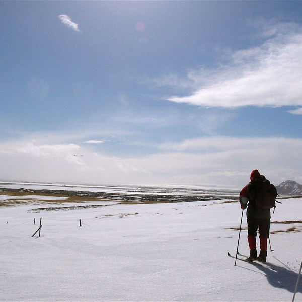 forsida-21-44959669b989a-1